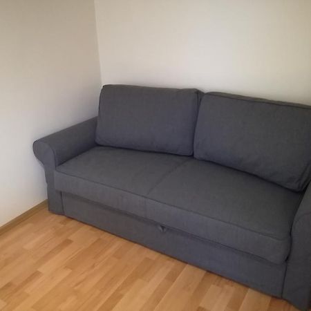 Apartment For Rent Druskininkai Dış mekan fotoğraf