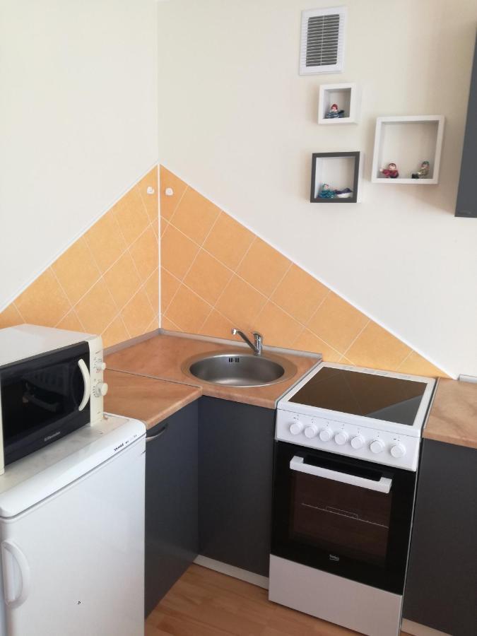 Apartment For Rent Druskininkai Dış mekan fotoğraf