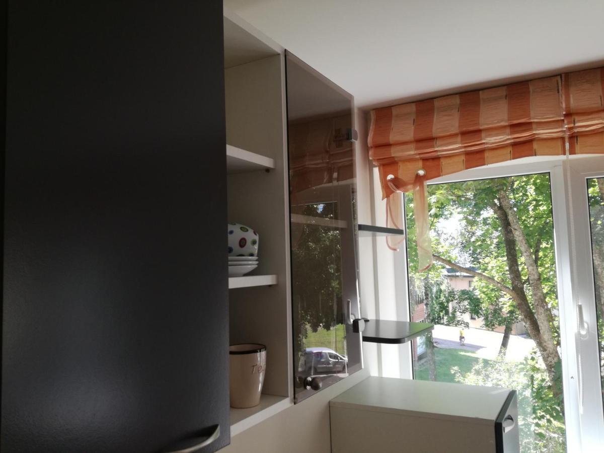 Apartment For Rent Druskininkai Dış mekan fotoğraf