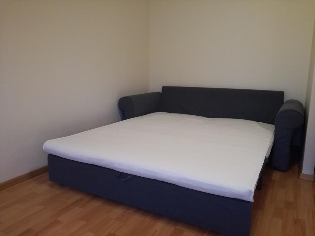 Apartment For Rent Druskininkai Dış mekan fotoğraf